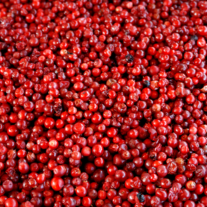 Lingonberry - Natures superfruit